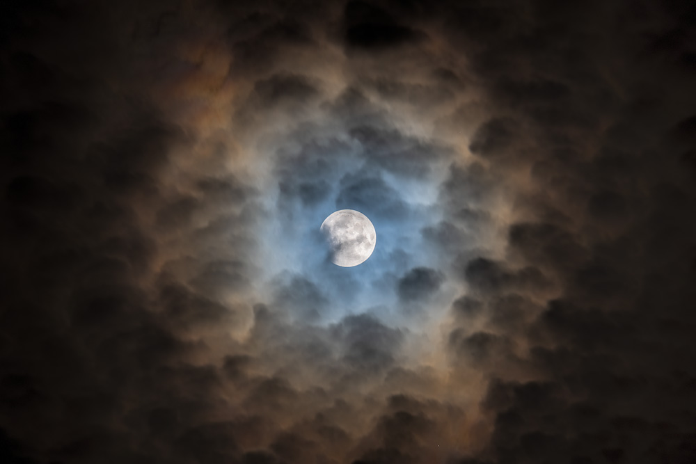 _D854034_dw.jpg