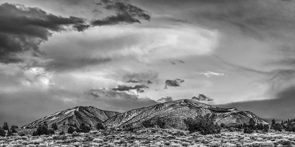 _D854346_BW_12x24_d1w.jpg