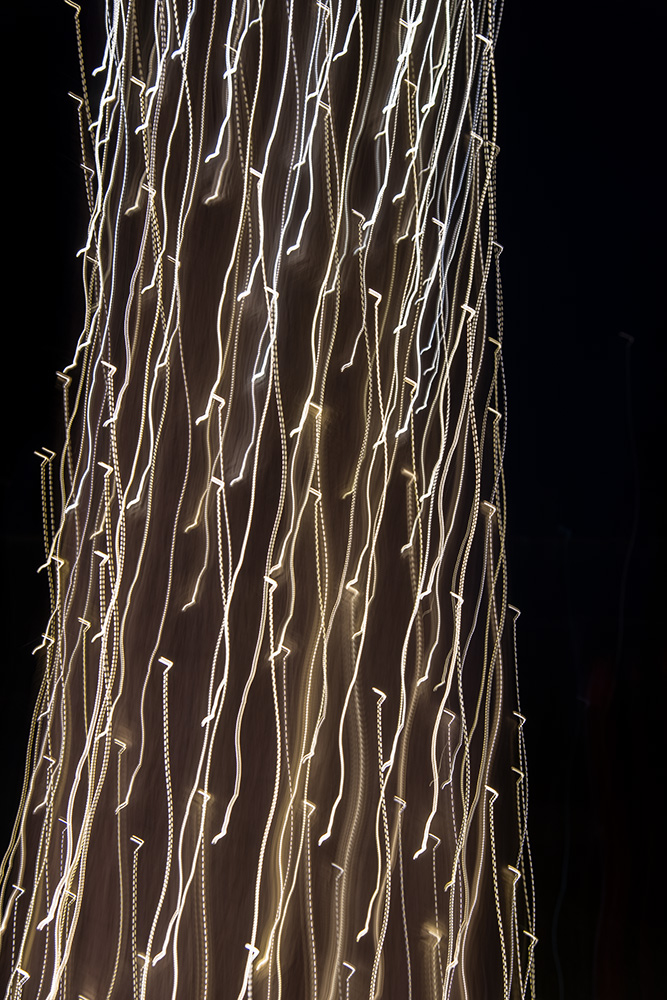 _D854362_dw.jpg
