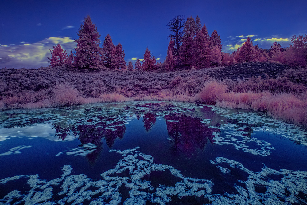 _D854507_dw.jpg