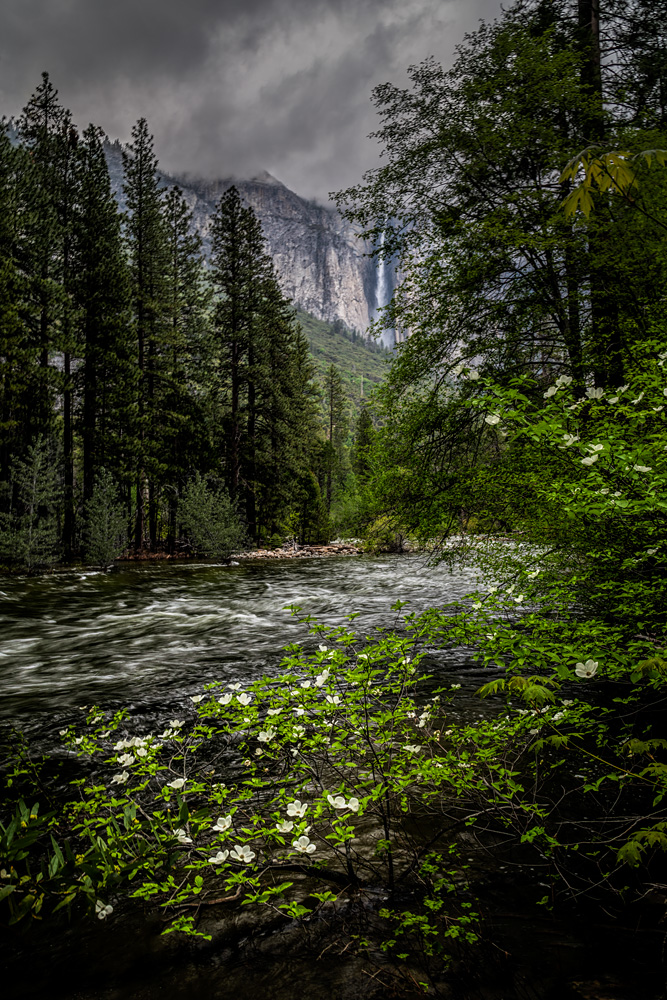 _D854847_dw.jpg