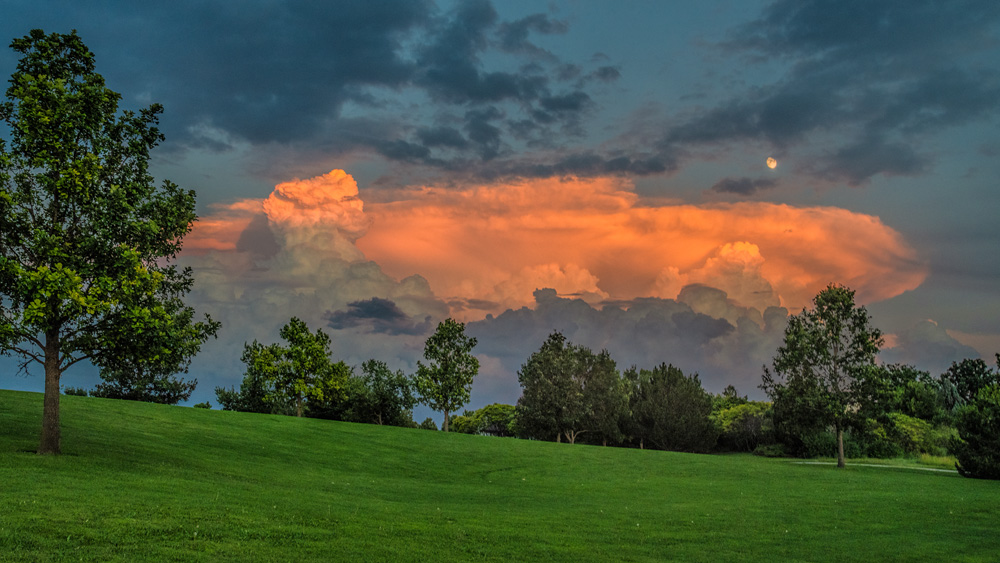 _D855106_dw.jpg