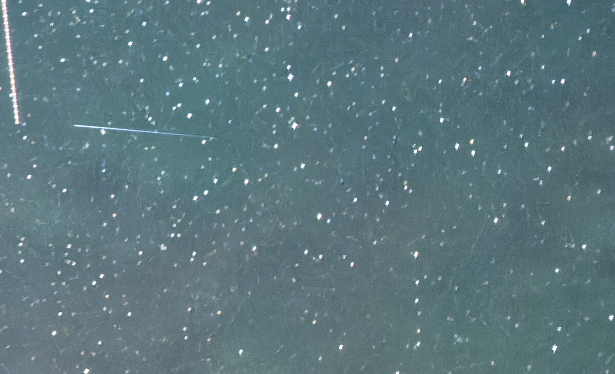 _D855159_DxO_Stars_dw.jpg