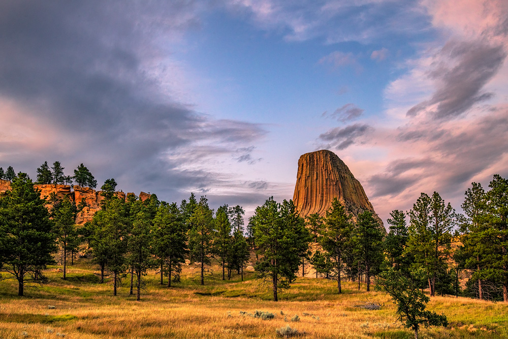 _D855708_dw.jpg