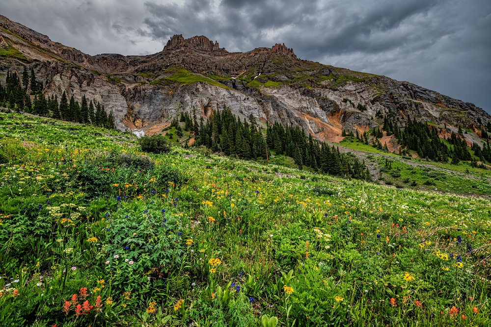 _D855910_dw.jpg