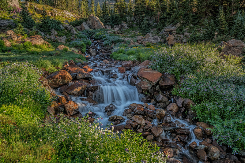 _D856106_dw.jpg