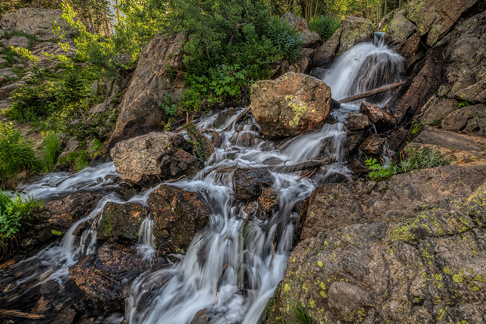 _D856311_dw.jpg