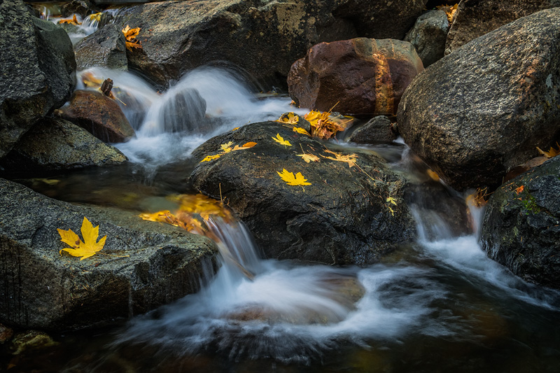 _D856789_dw.jpg
