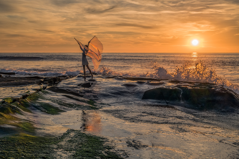 _D857540_dw.jpg