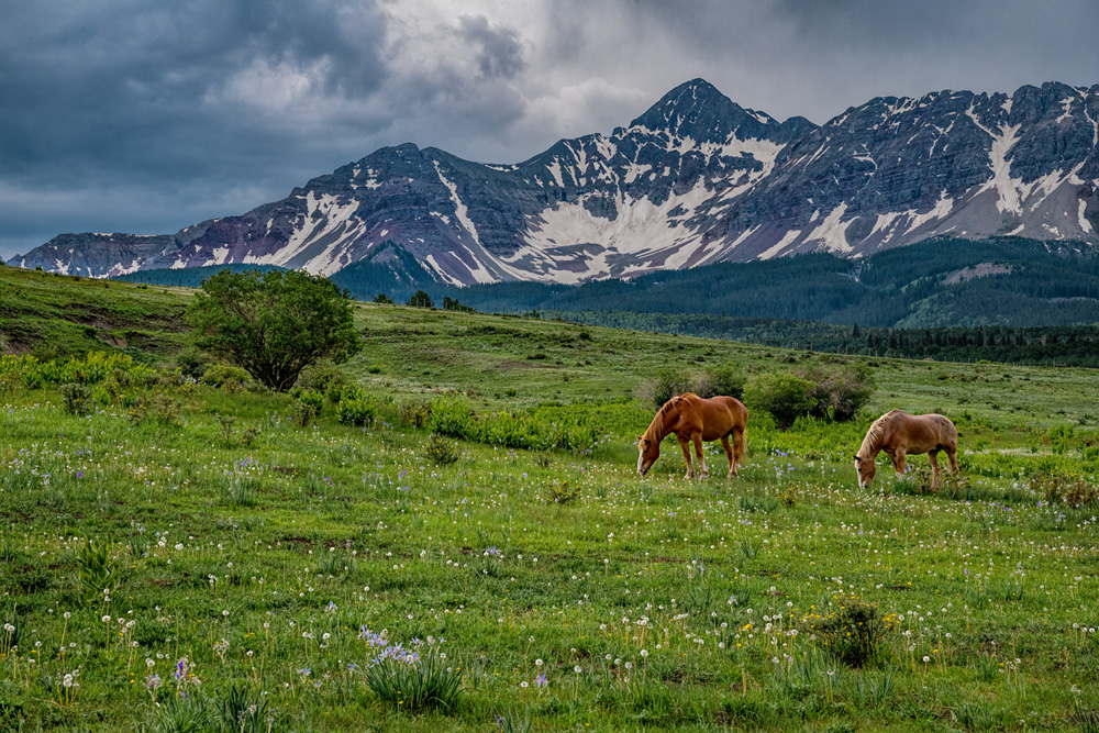 _D857753_dw.jpg