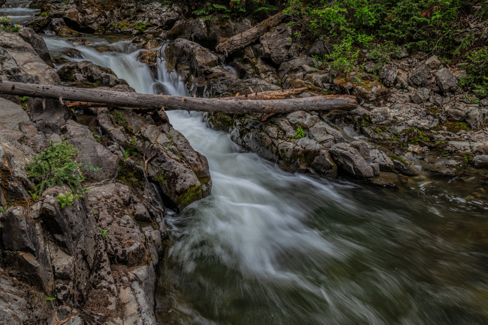 _D857844_dw.jpg