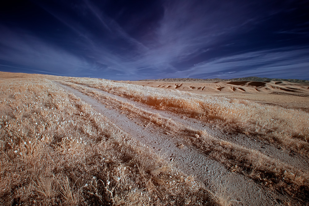 _D858107_dw.jpg