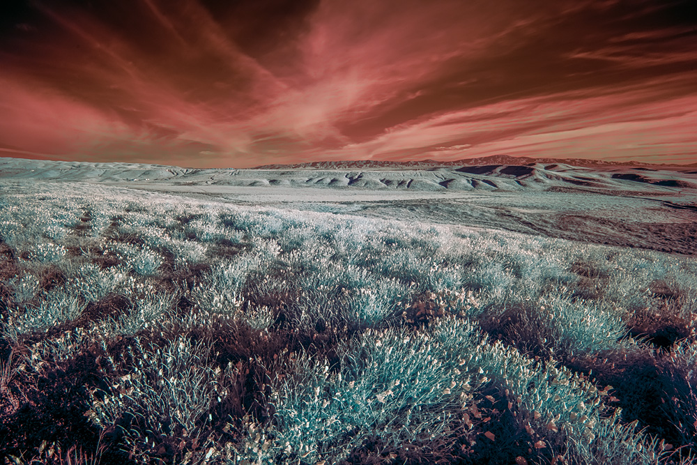 _D858108_dw.jpg