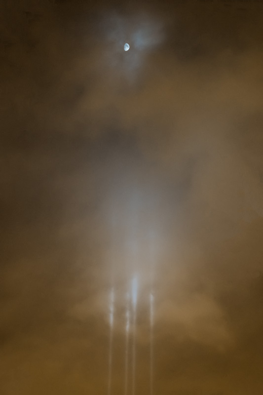 _D858892_dw.jpg