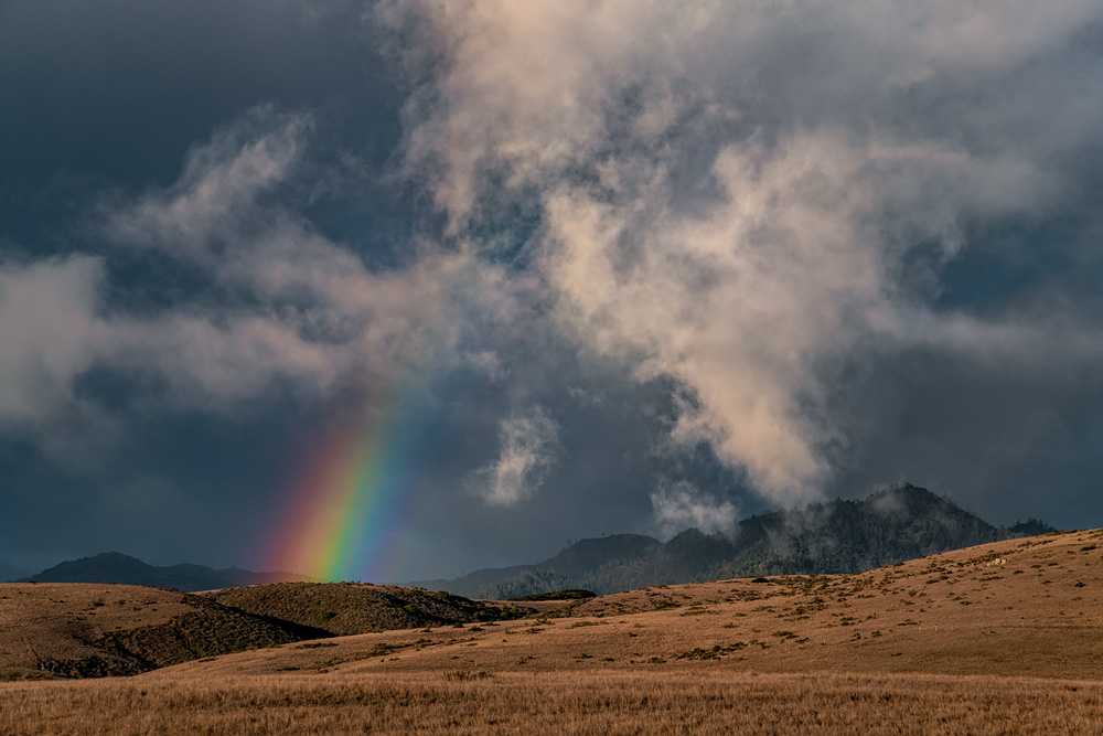 _D859652_dw.jpg