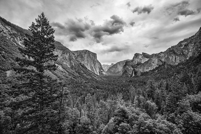 _D8C3206_BW_dw.jpg