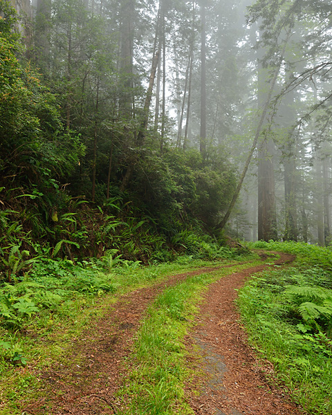_D8C5238_16x20_dw.jpg