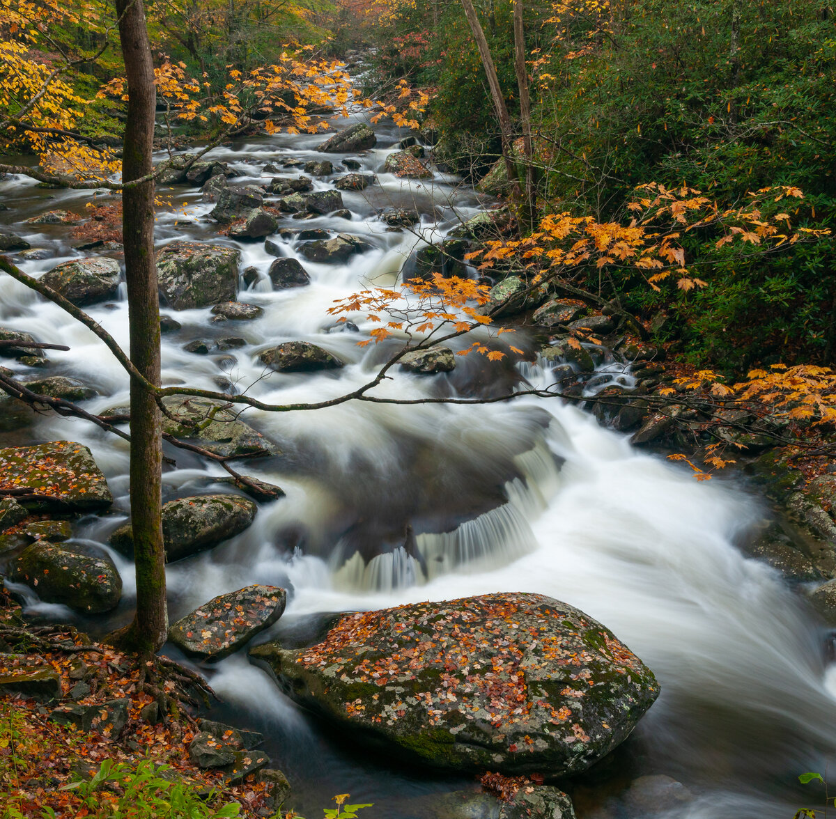_DSC0003-Pano.jpg