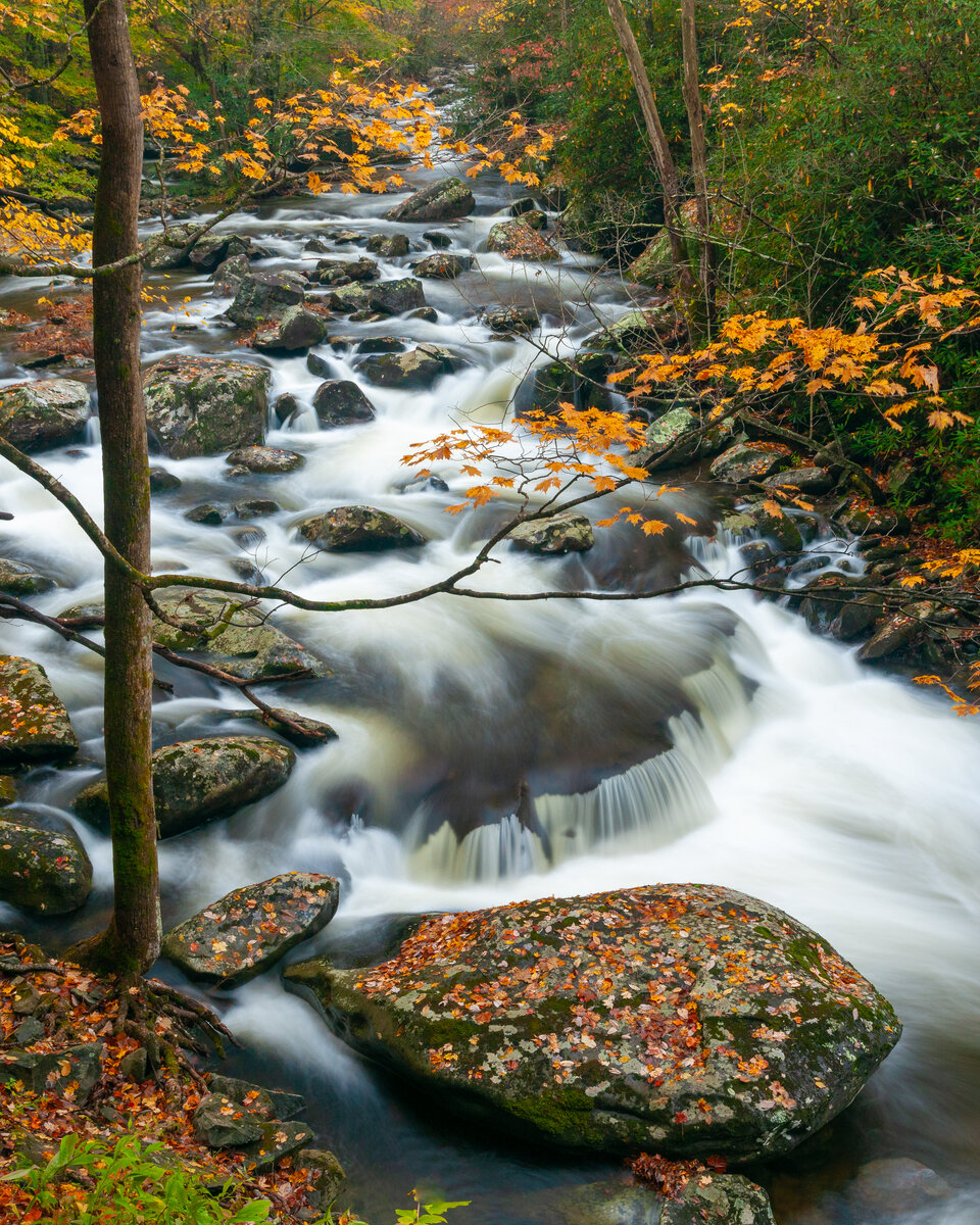_DSC0003-Pano.jpg