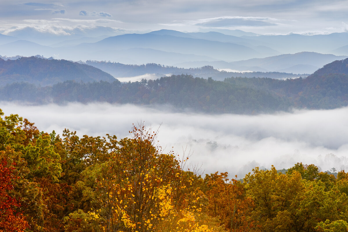 _DSC0005_004-Edit.jpg