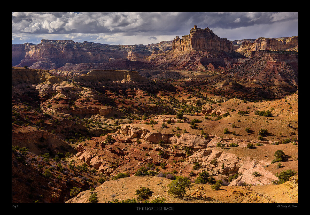 _DSC0008960-X2.jpg