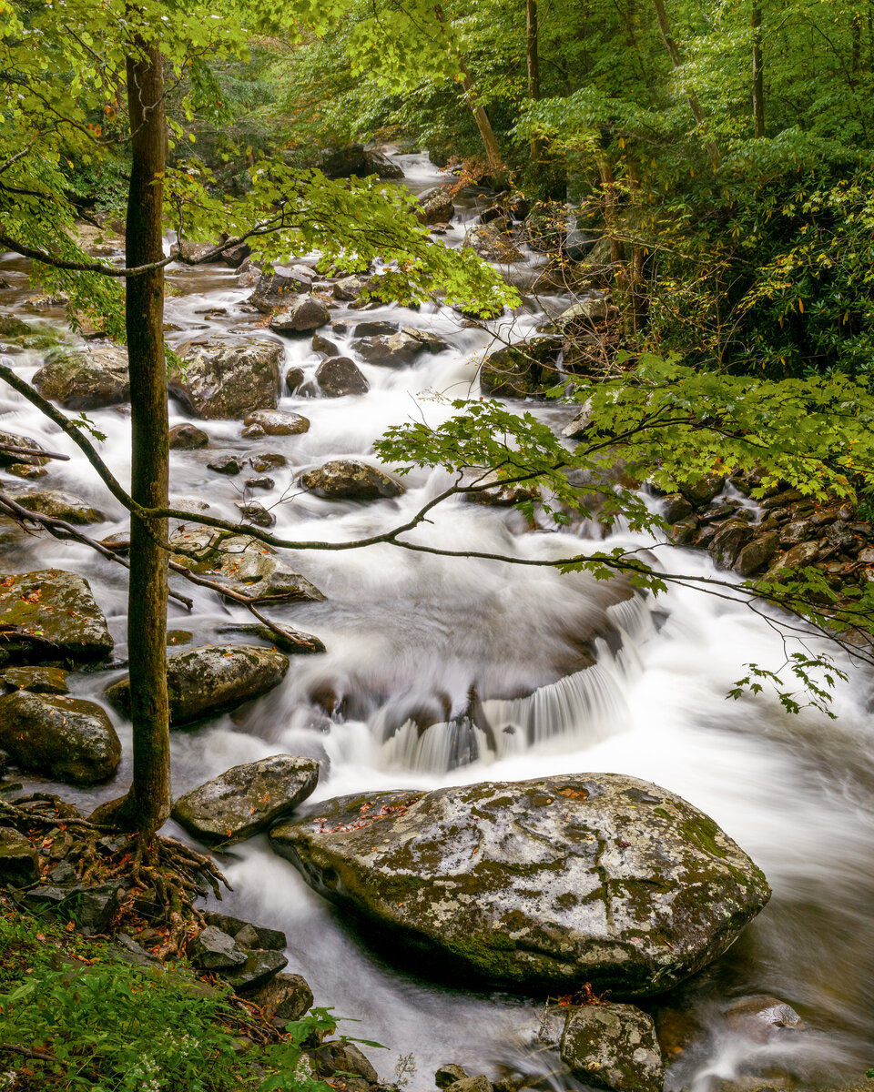 _DSC0020-Pano-Edit.jpg