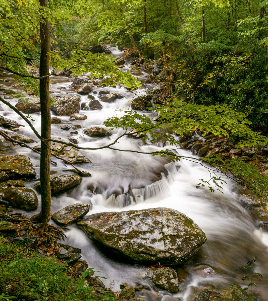 _DSC0020-Pano-Edit.jpg
