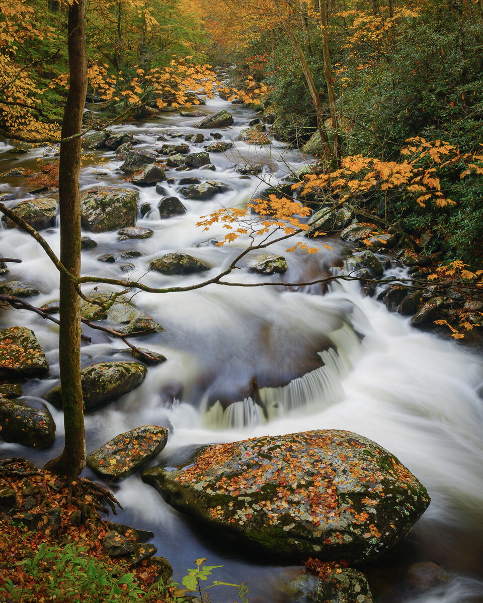 _DSC0023-Pano.jpg