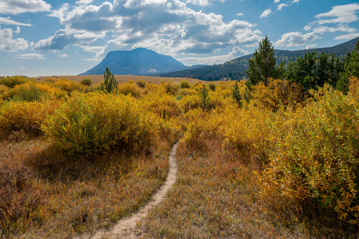 _DSC0024-NEF_DxO_HQ-Edit.jpg