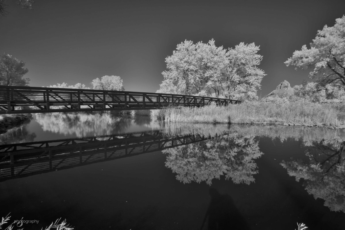 _DSC0028 bw.jpg