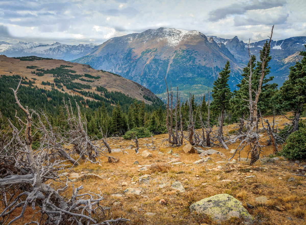 _DSC0040-Edit.jpg
