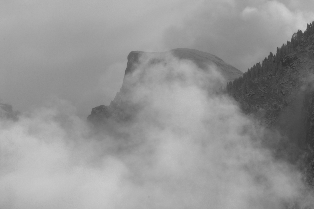 _DSC0065_BW_dw.jpg