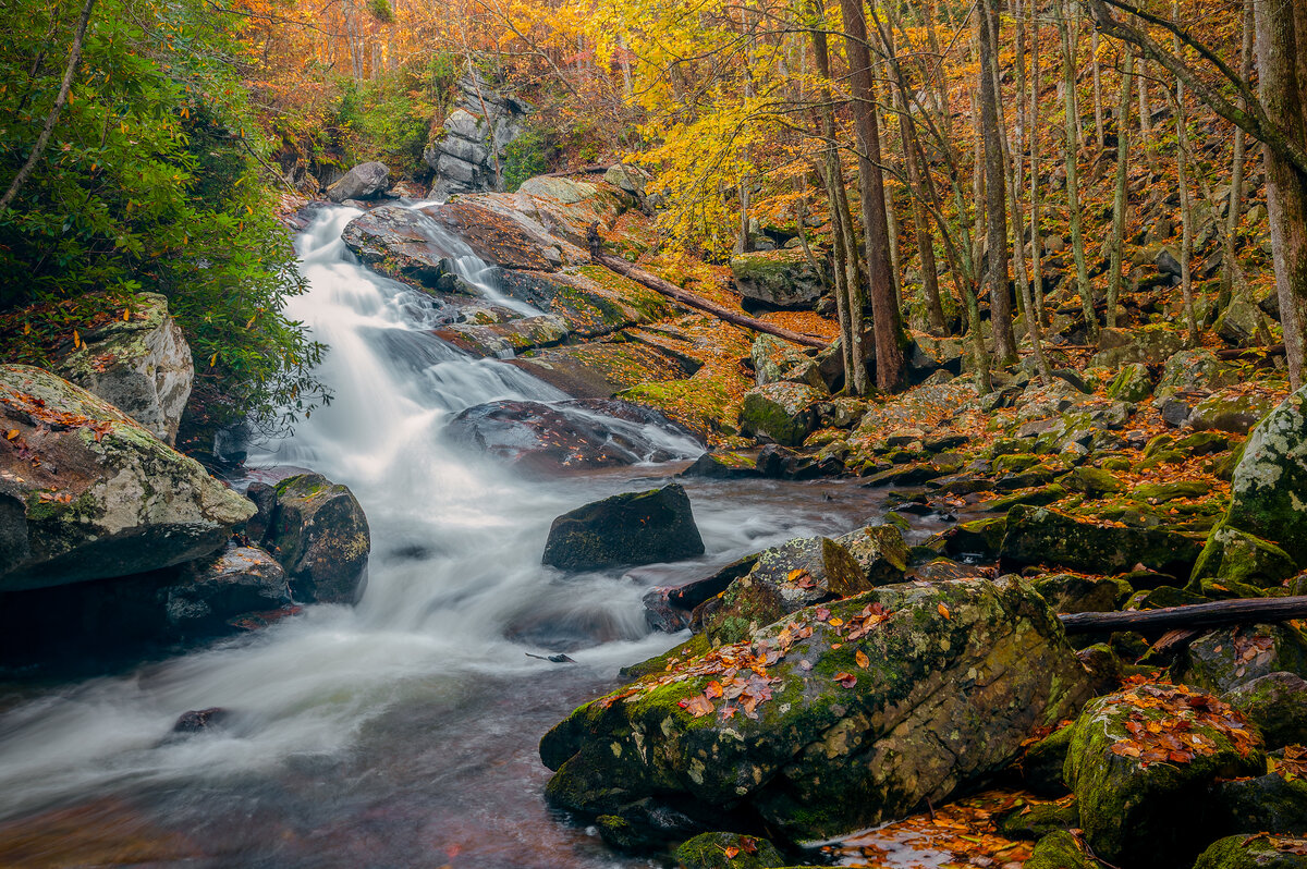 _DSC0076_01-NEF_DxO_DeepPRIMEXD-Pano-Edit.jpg