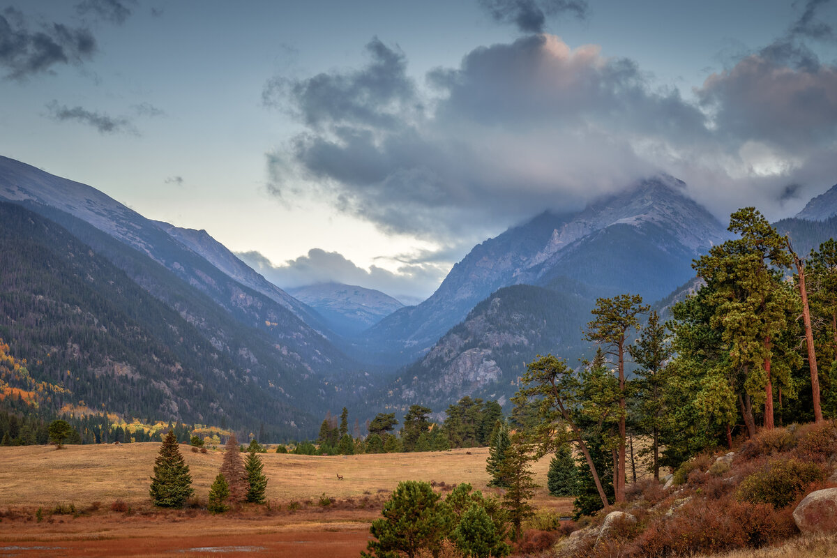 _DSC0095-Edit-2.jpg