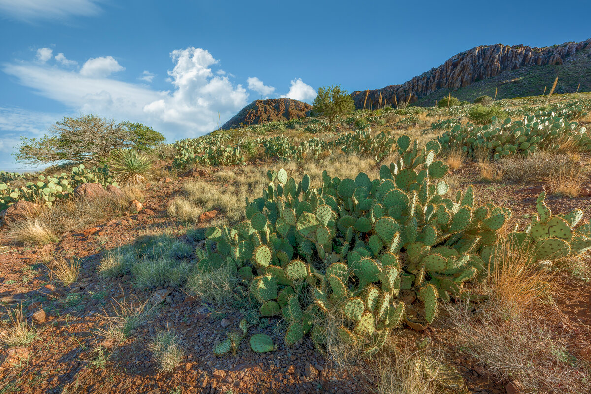 _DSC0128-NEF_DxO_DeepPRIMEXD-Pano-Edit.jpg
