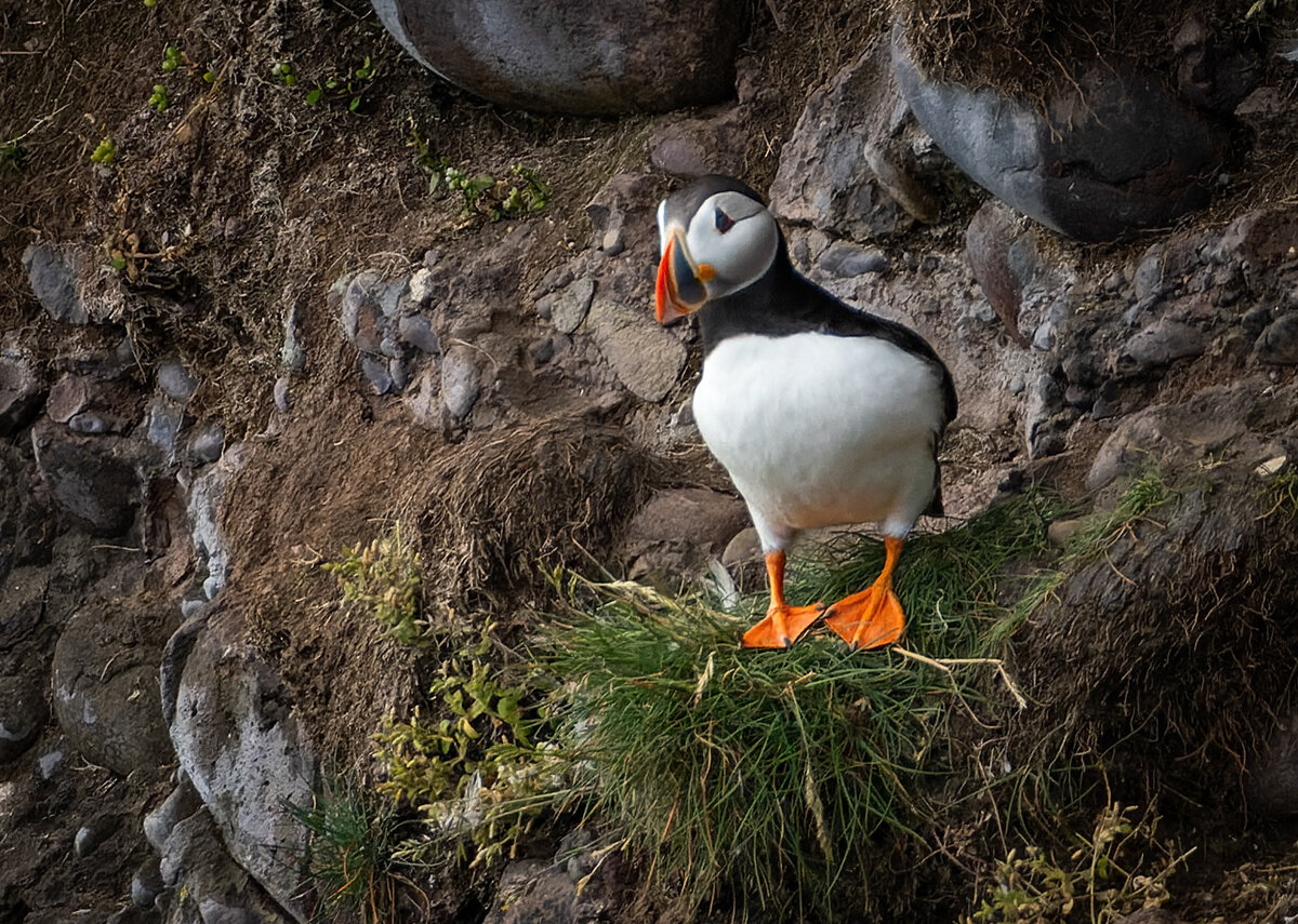 _DSC0217-ARW_DxO_DeepPRIME-3 copy.jpg