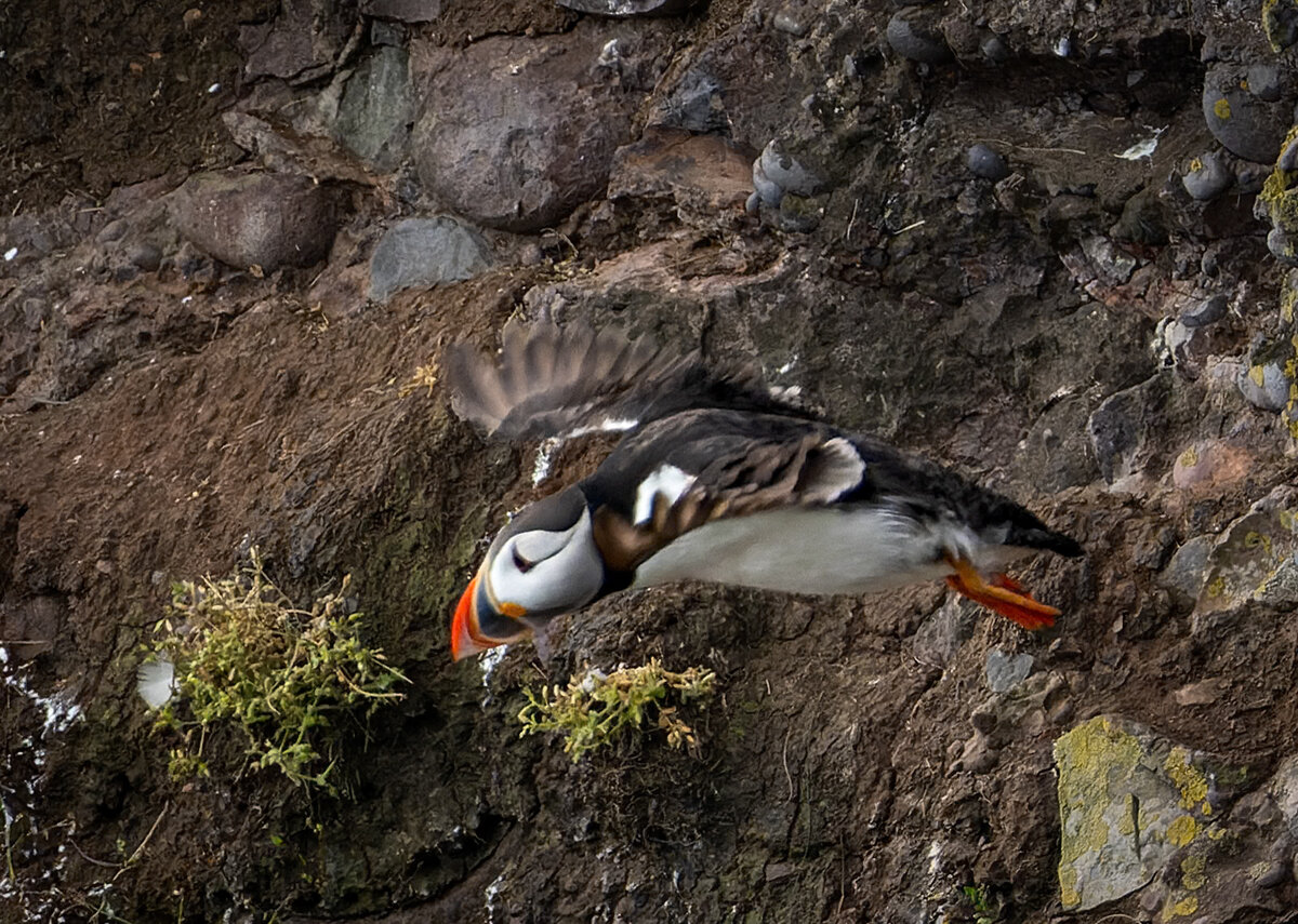 _DSC0220-ARW_DxO_DeepPRIME-1 copy.jpg