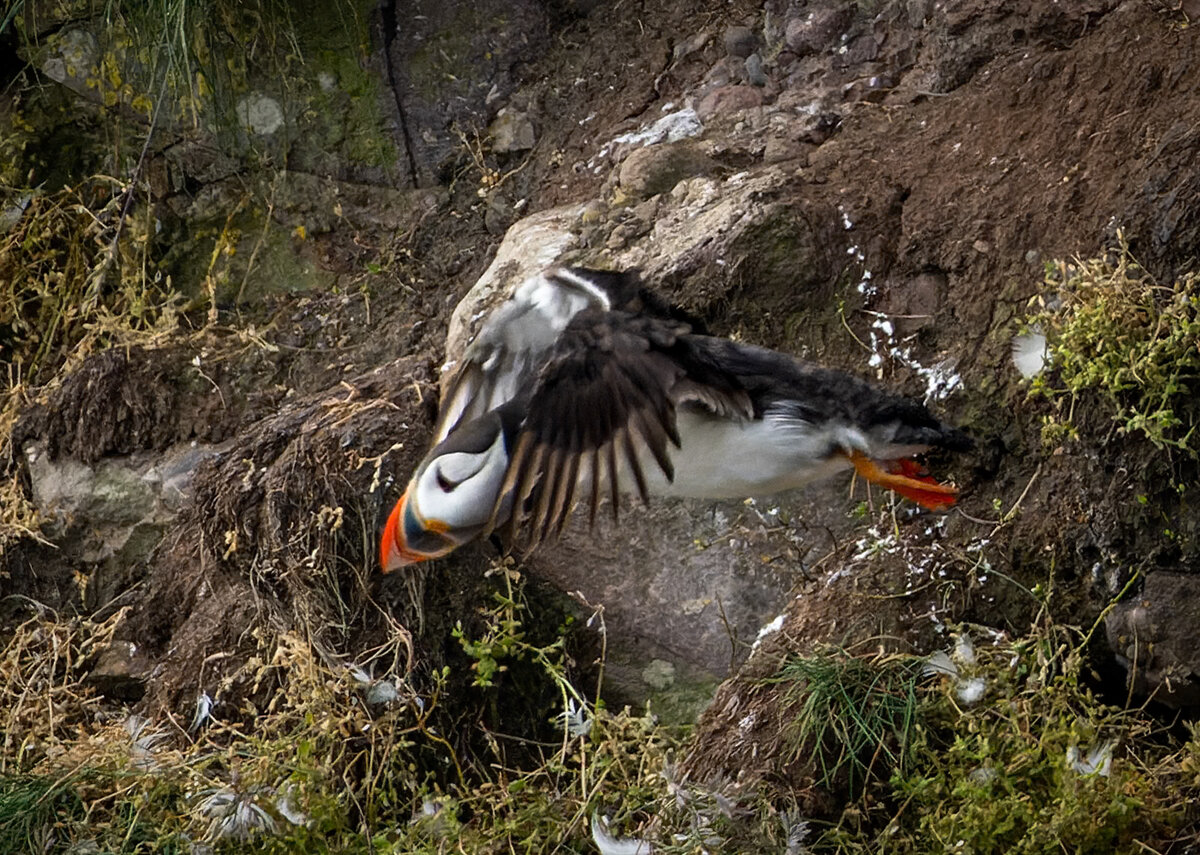 _DSC0221-ARW_DxO_DeepPRIME-1 copy.jpg