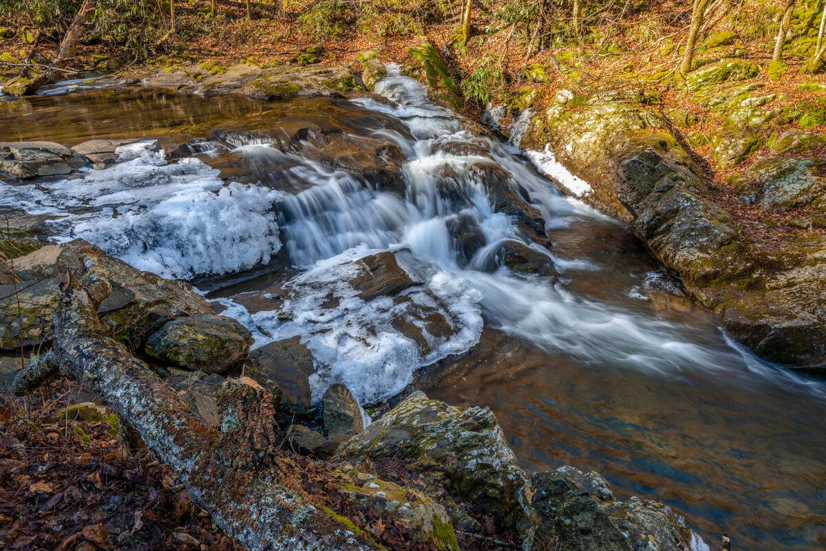 _DSC0254-Edit.jpg