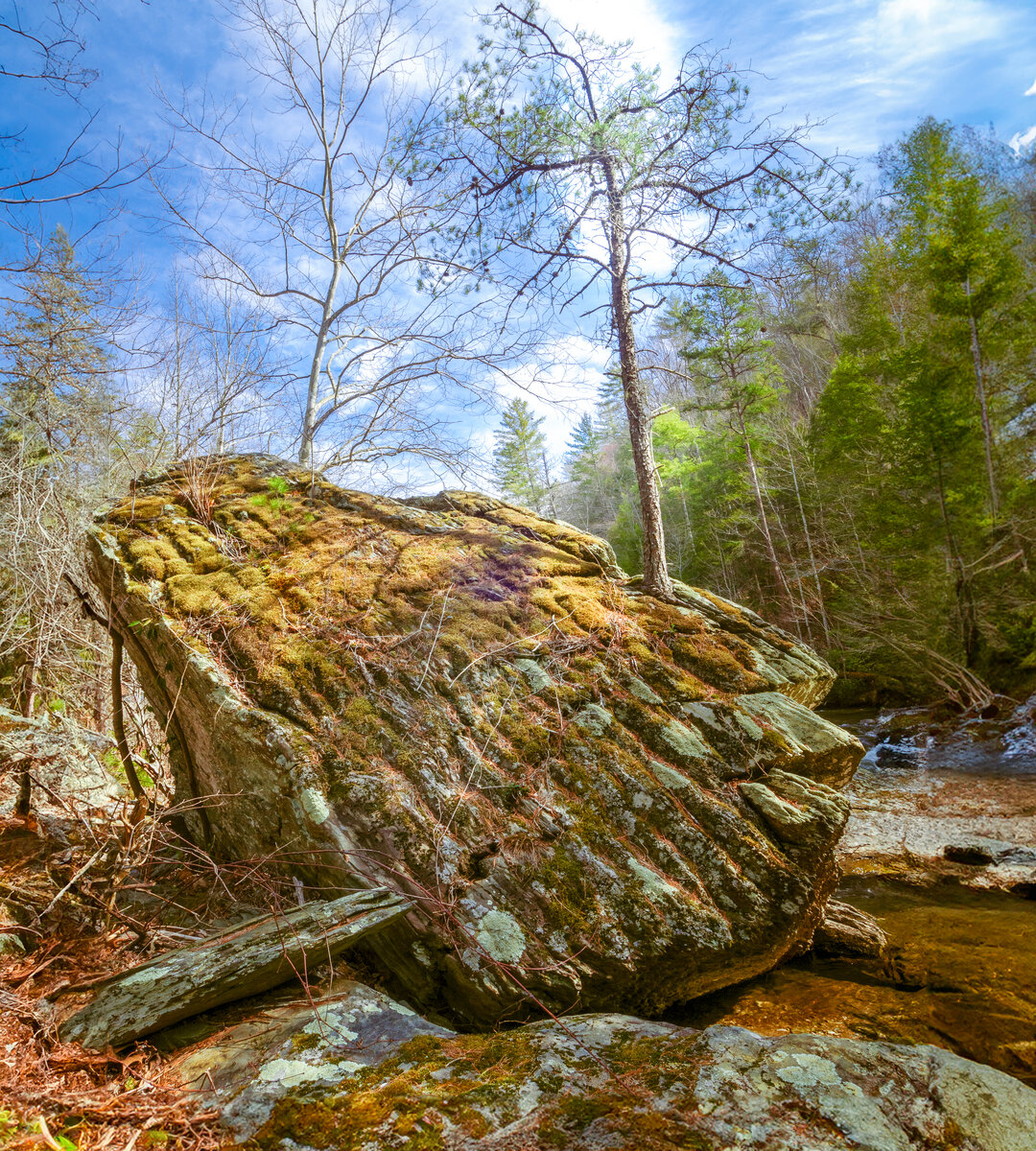 _DSC0256-Edit.jpg