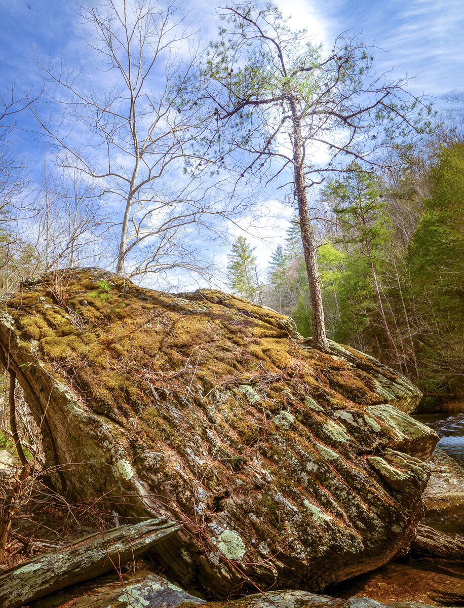 _DSC0256-NEF_DxO_DeepPRIMEXD-Edit.jpg