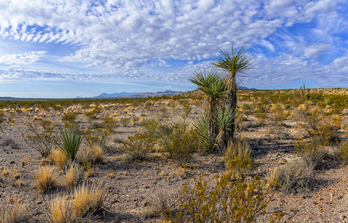 _DSC0342_DxO-Pano-Edit.jpg