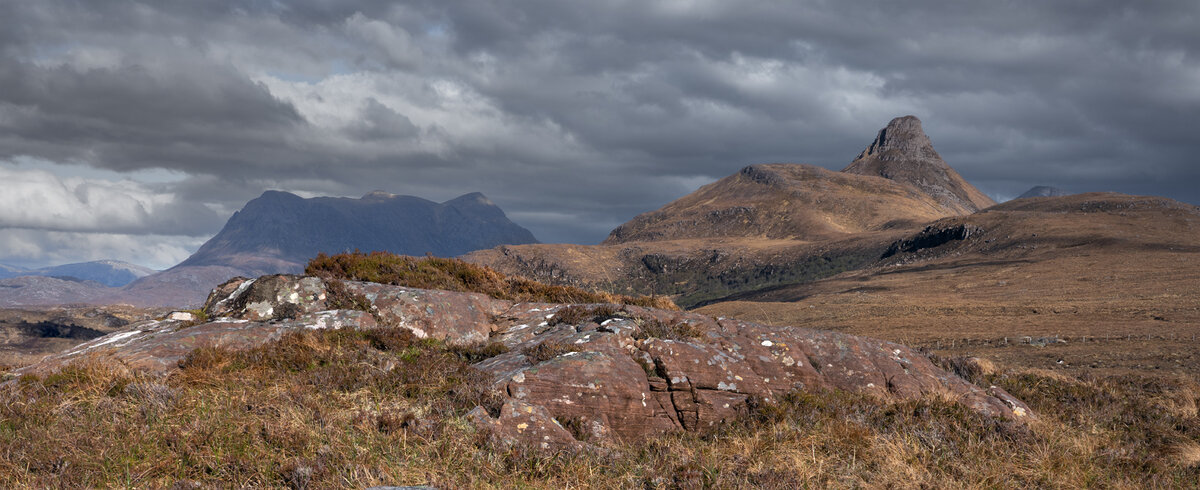 _DSC0364-1 365 focus stack cropped a lot copy.jpg