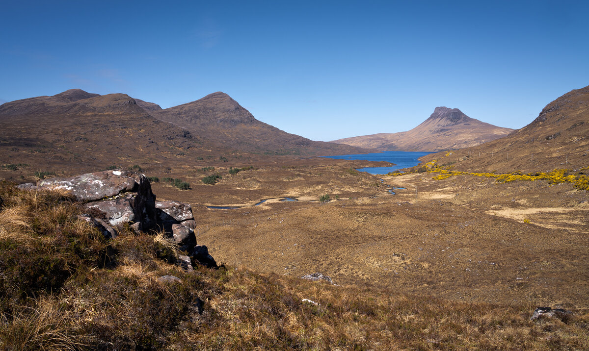 _DSC0420 0421 focus stack copy.jpg