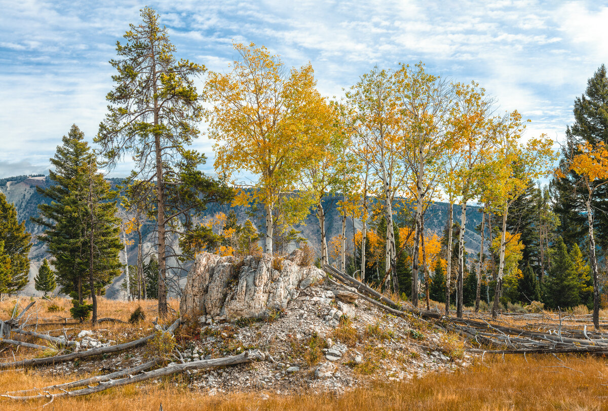 _DSC0533-NEF_DxO_DeepPRIMEXD-Edit.jpg