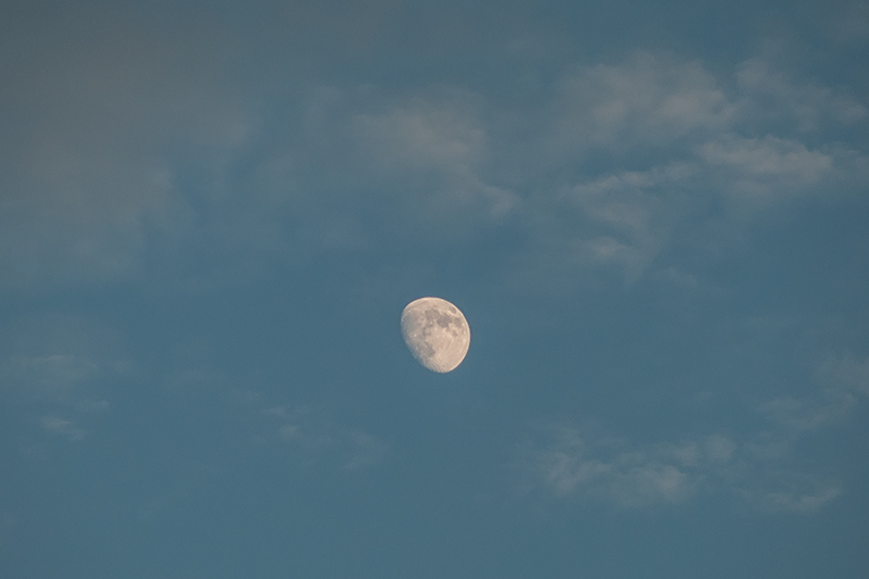 _DSC0553_dpweb.jpg