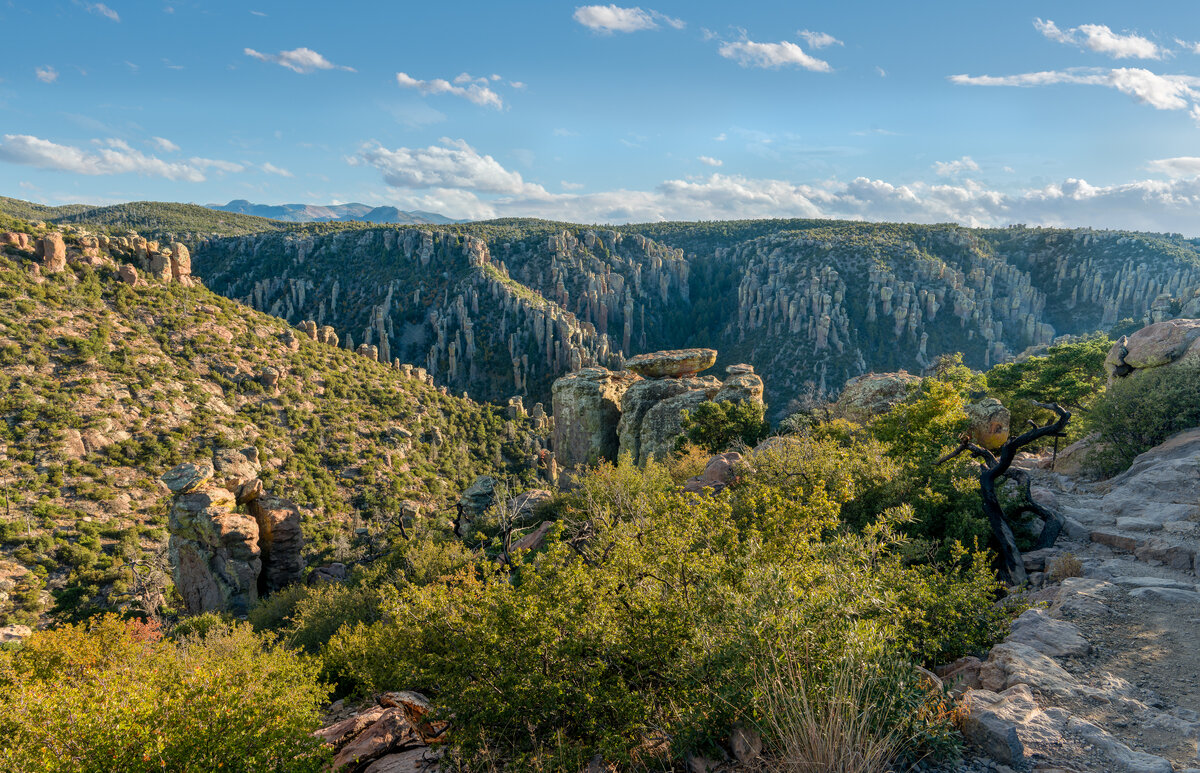 _DSC0592-NEF_DxO_DeepPRIMEXD-Pano-Edit.jpg