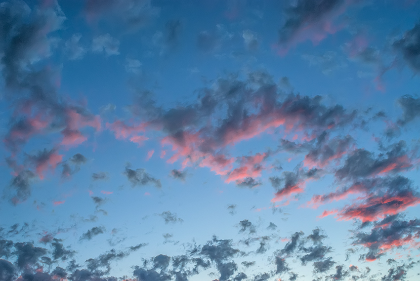 _DSC0595_dpweb.jpg