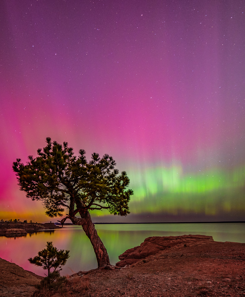 _DSC0640to42_Pano_dw_TreeofColor.jpg