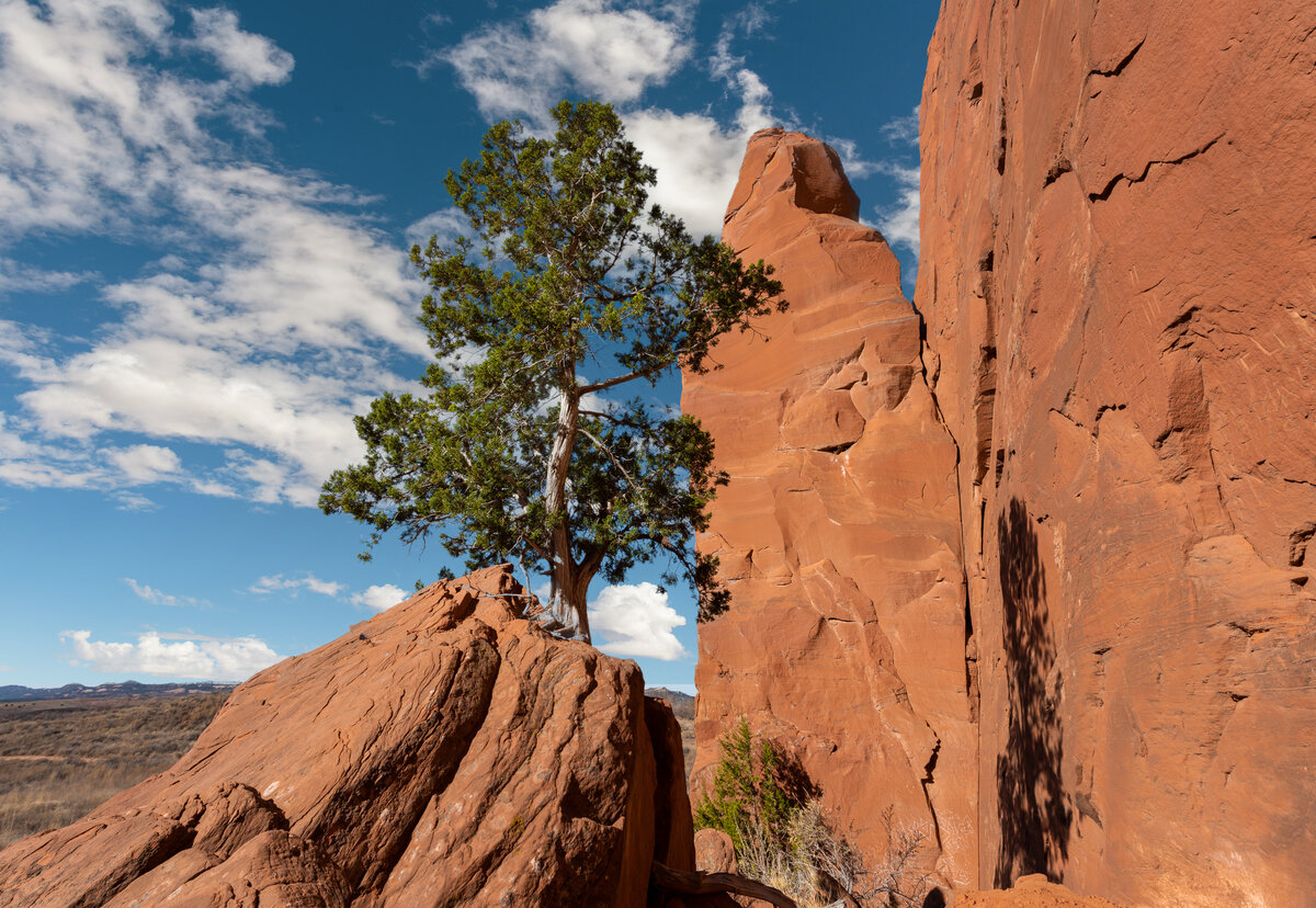 _DSC0699-Pano-Edit.jpg